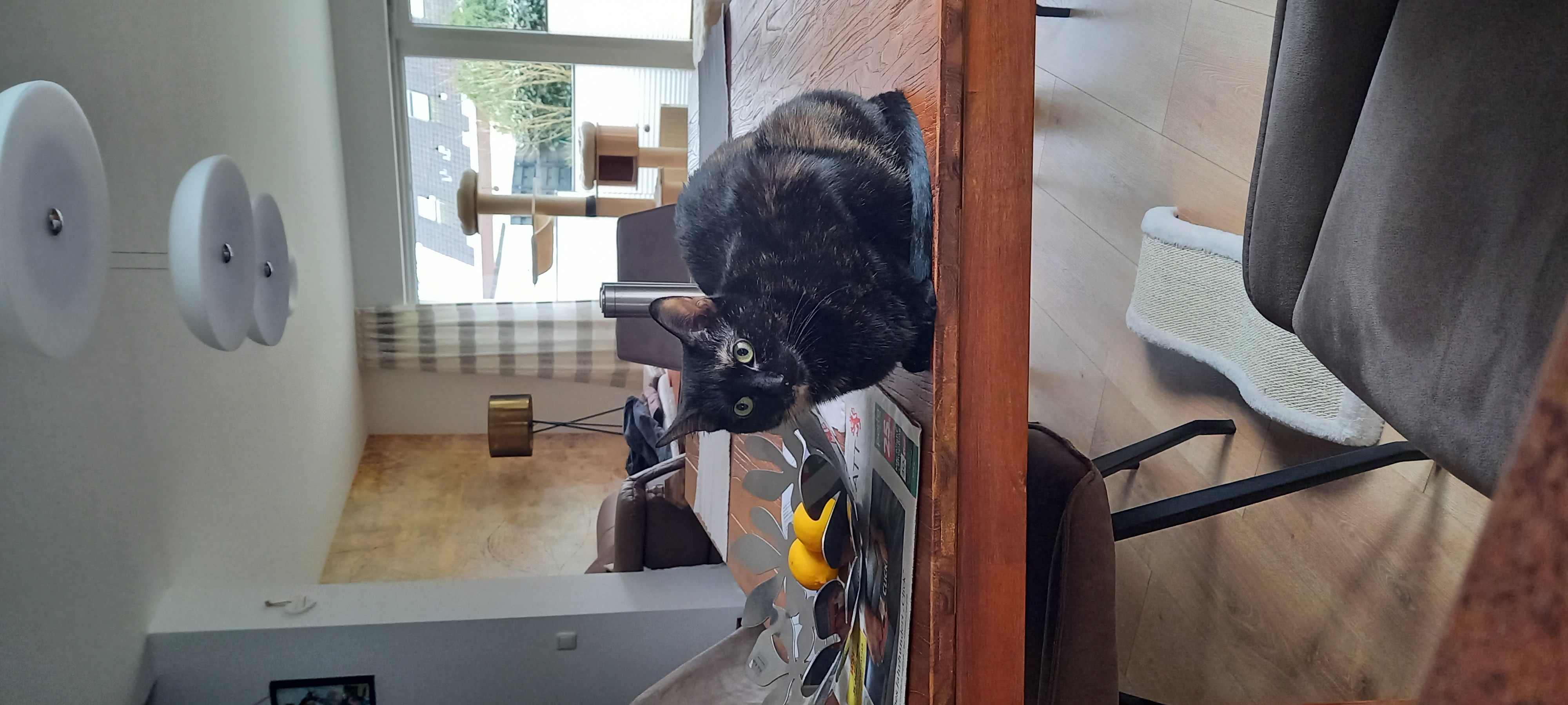 Socke und June_20260125_103413.jpg